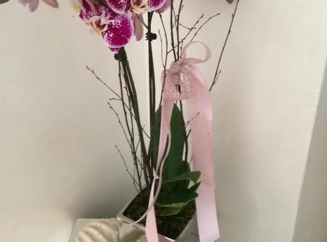 Borgo Marina Frühstückspension 4*