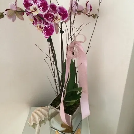 博尔戈码头住宿加早餐旅馆 住宿加早餐酒店 4*